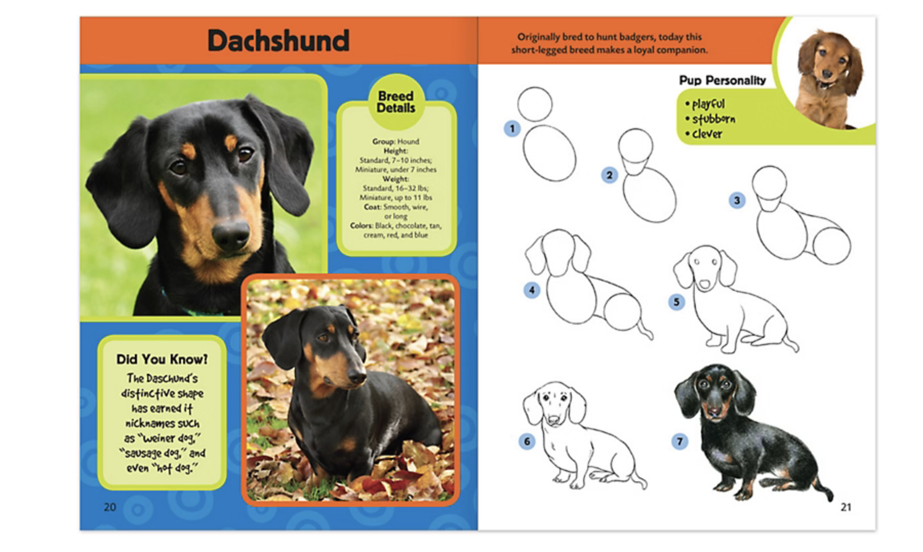 livres de dessins pour enfants
