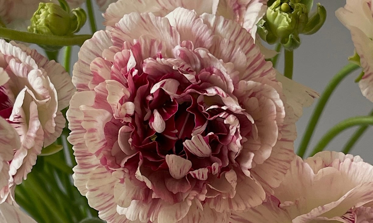 Passez un week-end affectueux.