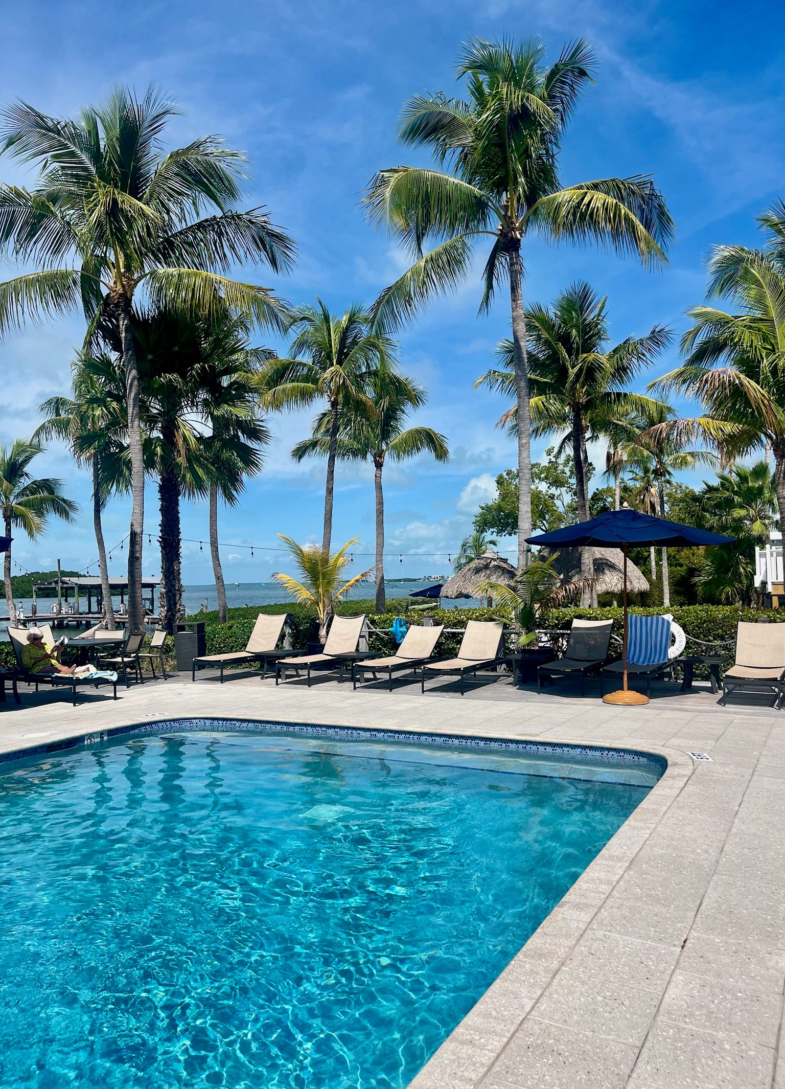 Cocotit Palm Inn Key Largo Tavernier Pool