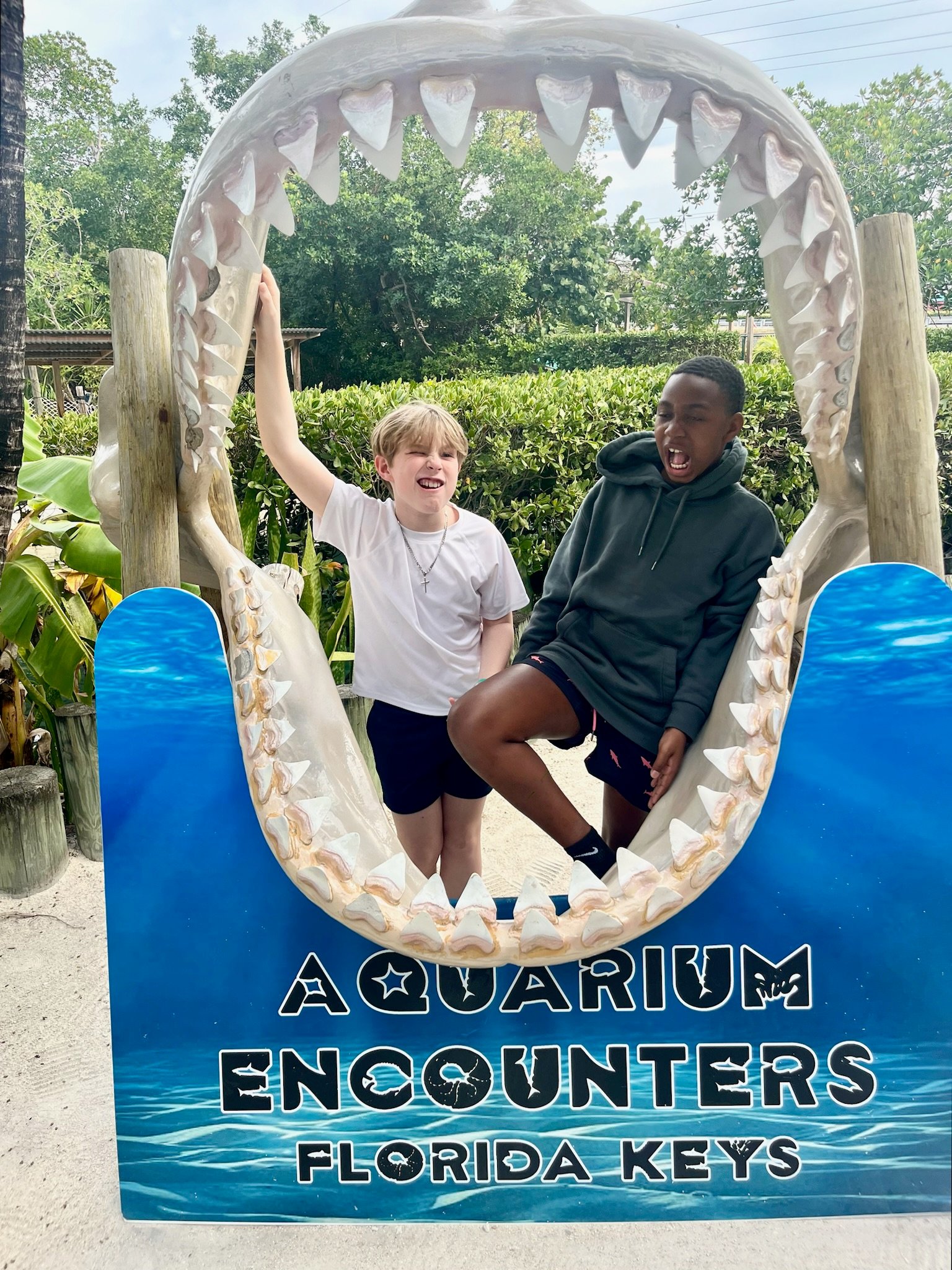 Rencontres d'aquarium Florida Keys