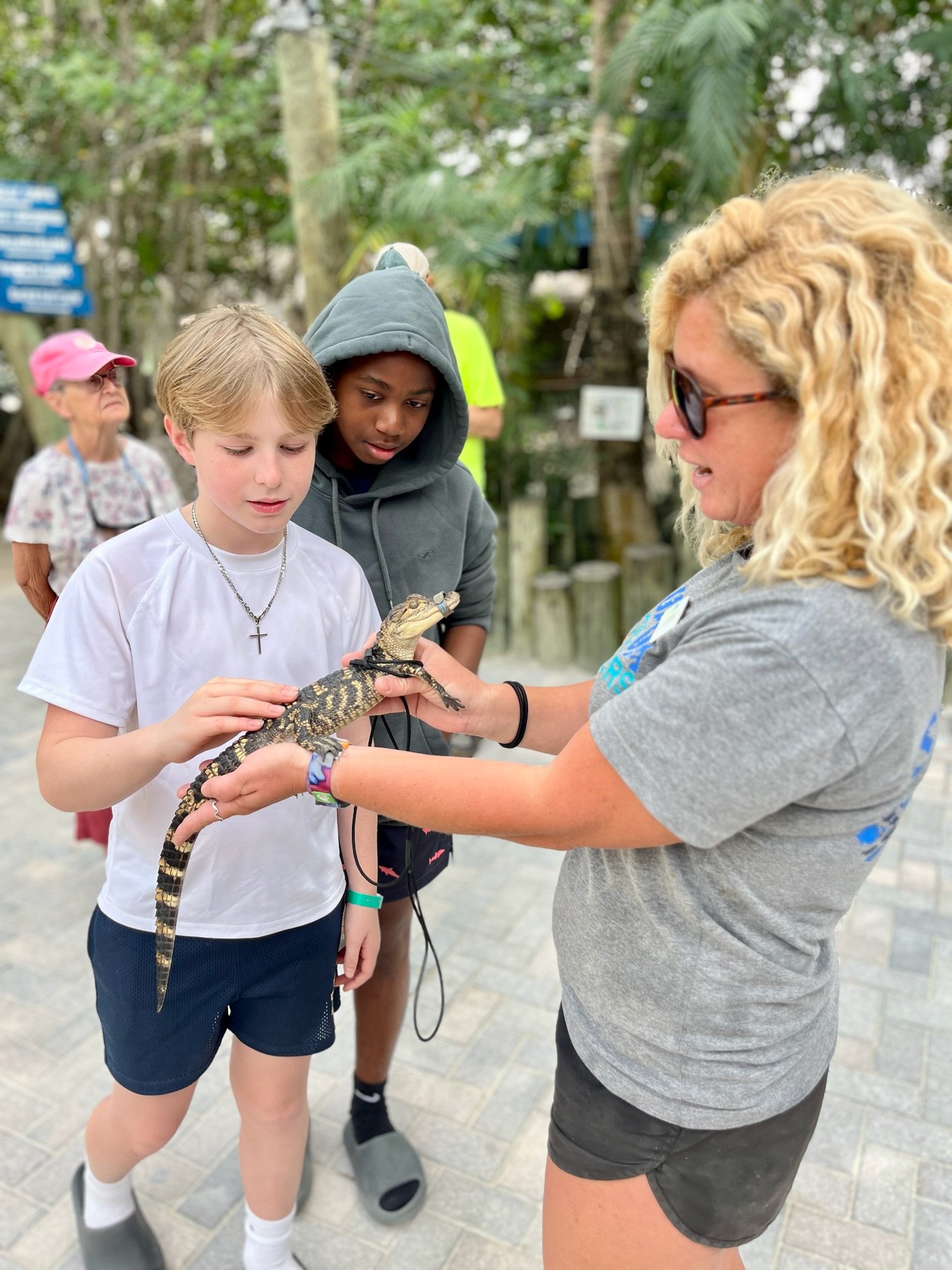 Aquarium Rencontres Florida Keys Alligator