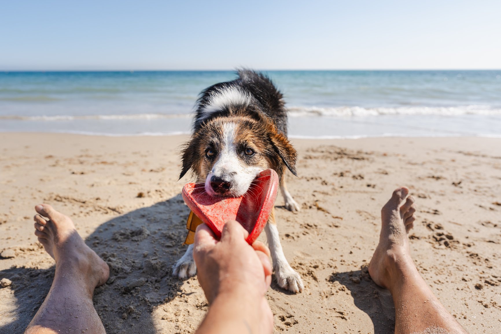 Passez un bon week-end.