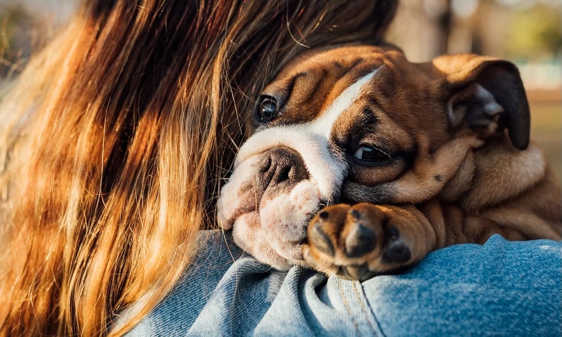 Passez un excellent week-end.