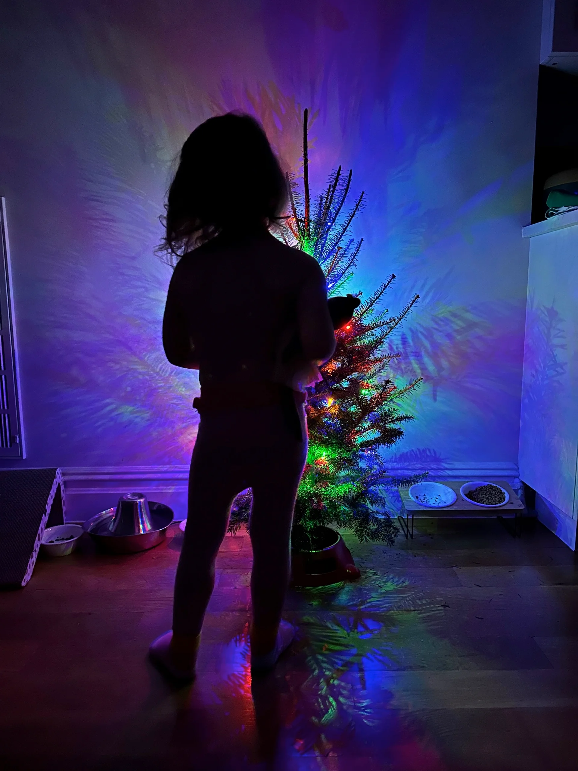 arbre de Noël