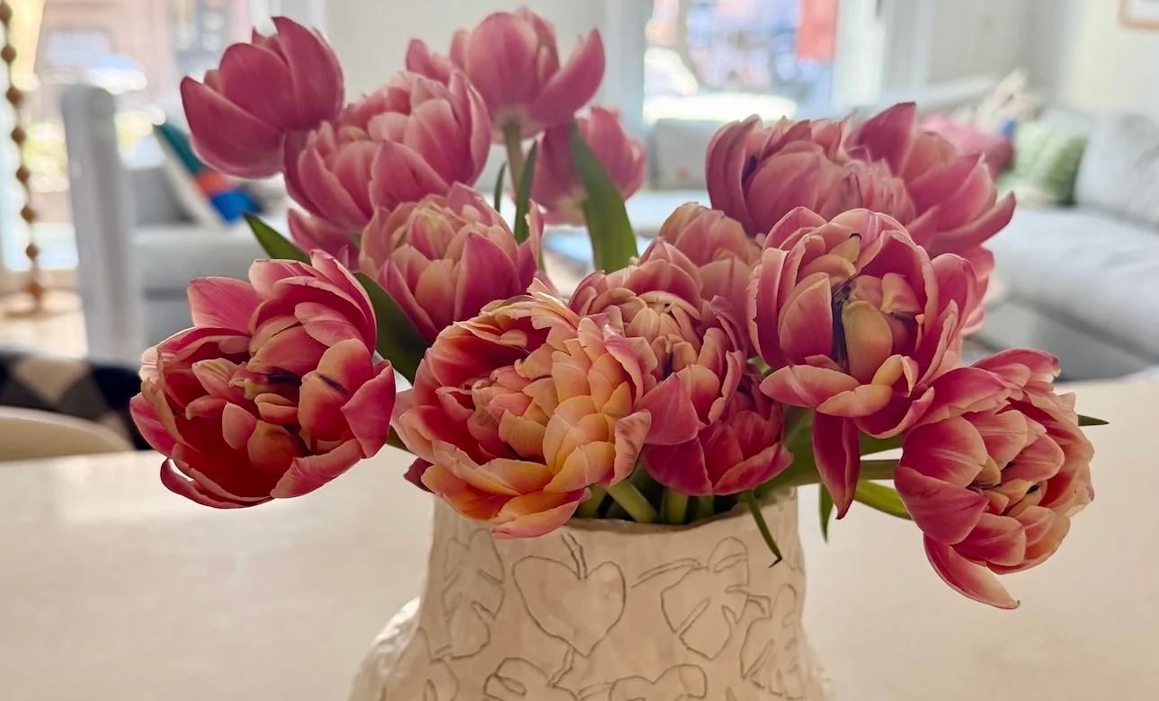 5 remontants après une rupture