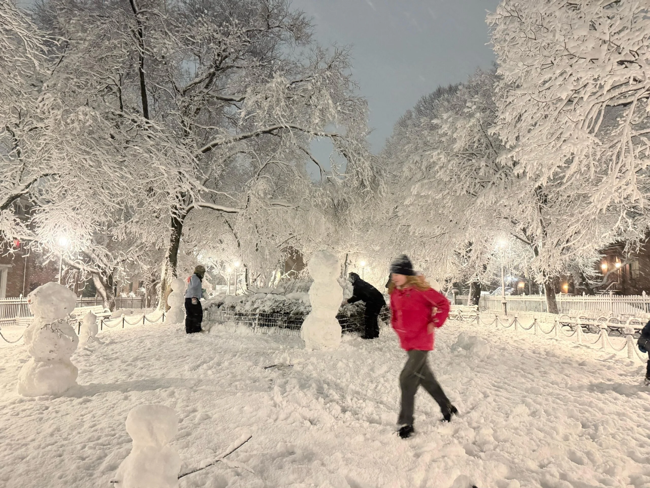 Tempête de neige à Brooklyn 2026