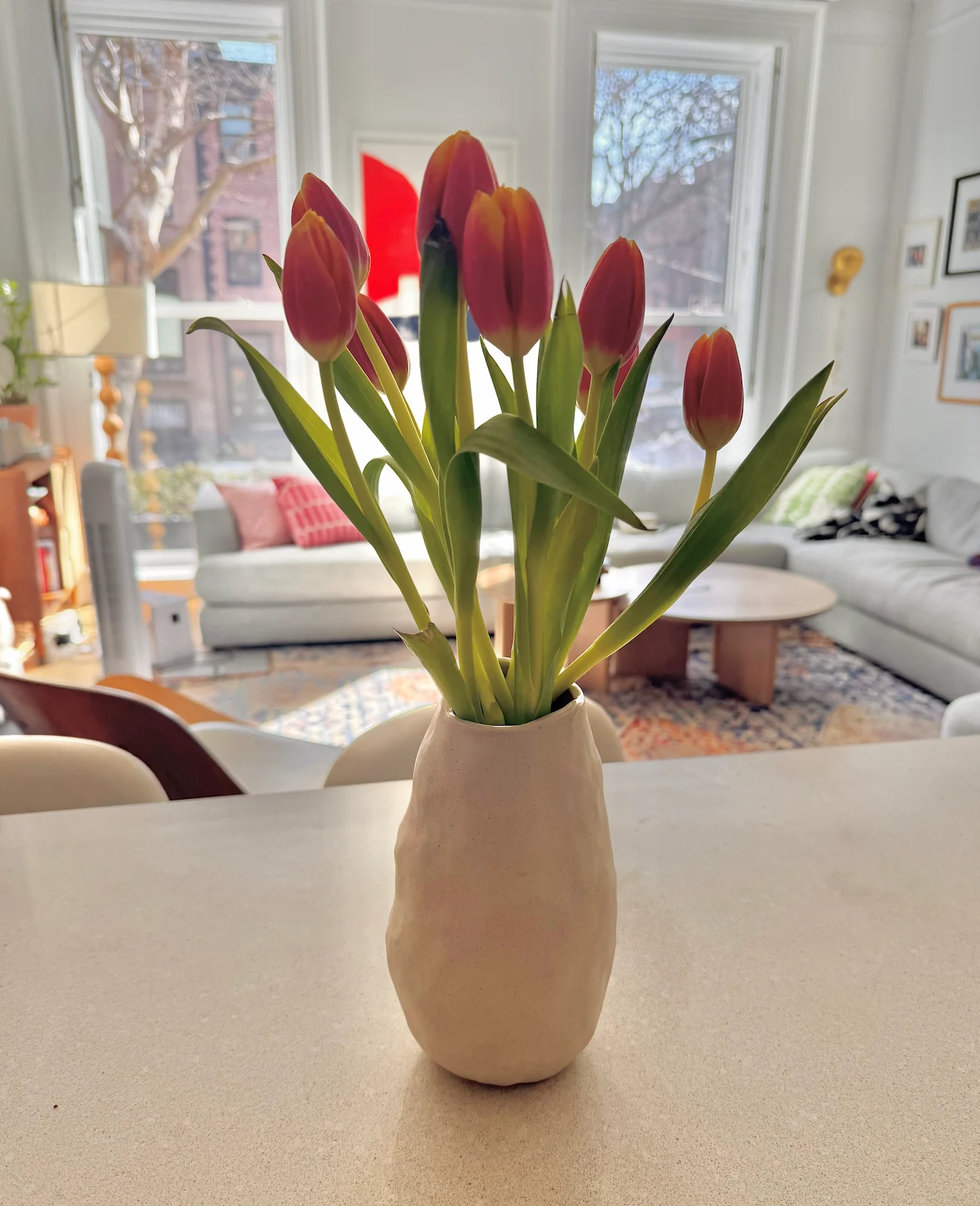 tulipes printemps