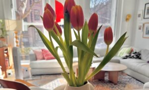 Quatre choses amusantes
