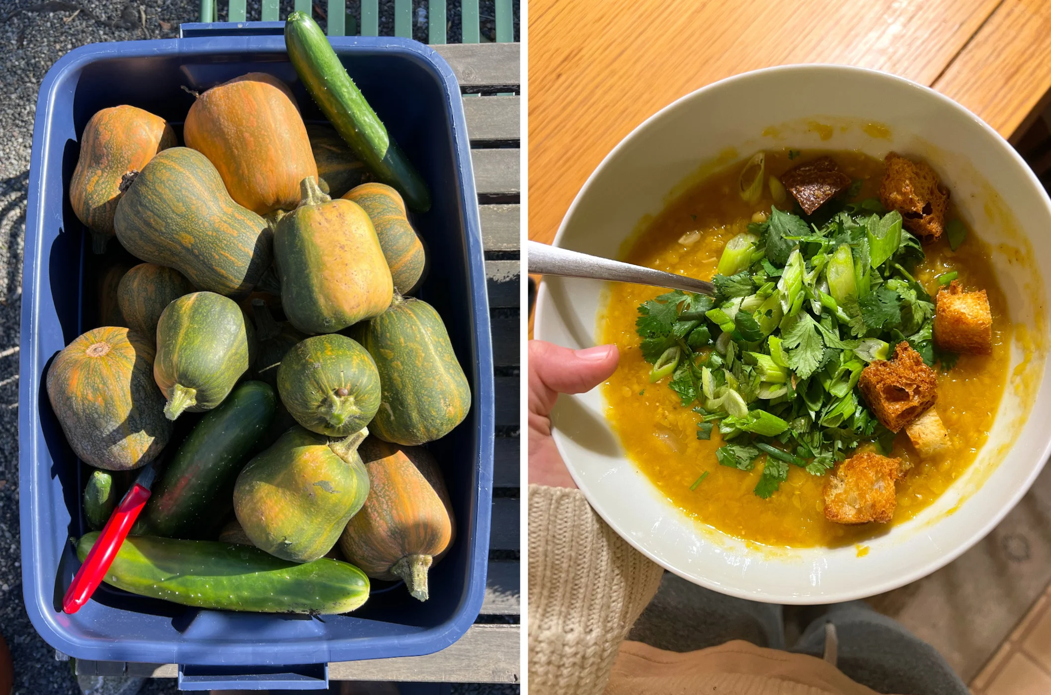Soupe à la courge Alison Roman