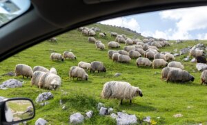 Passez un week-end de détente.
