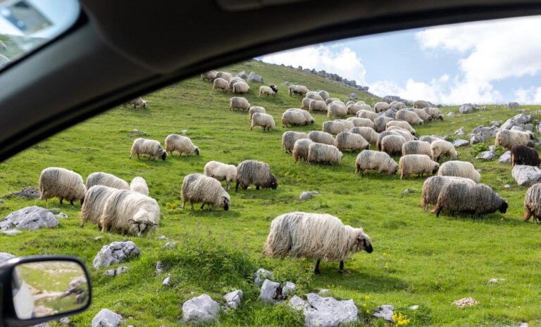 Passez un week-end de détente.
