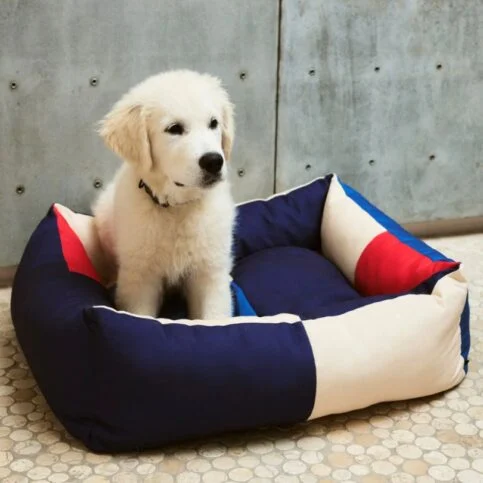 lit pour chien de foin