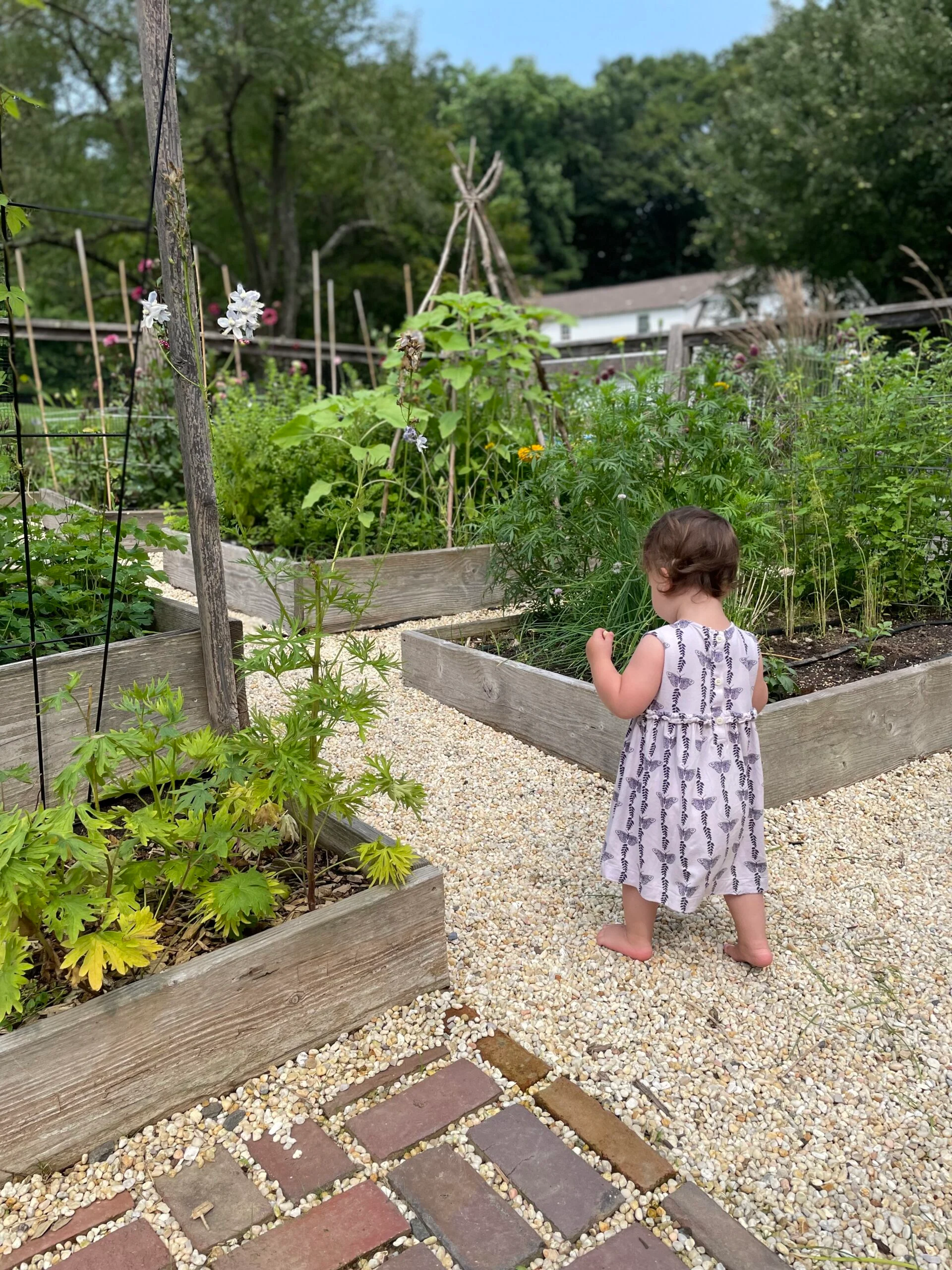 Jardins des lecteurs de Cup of Jo