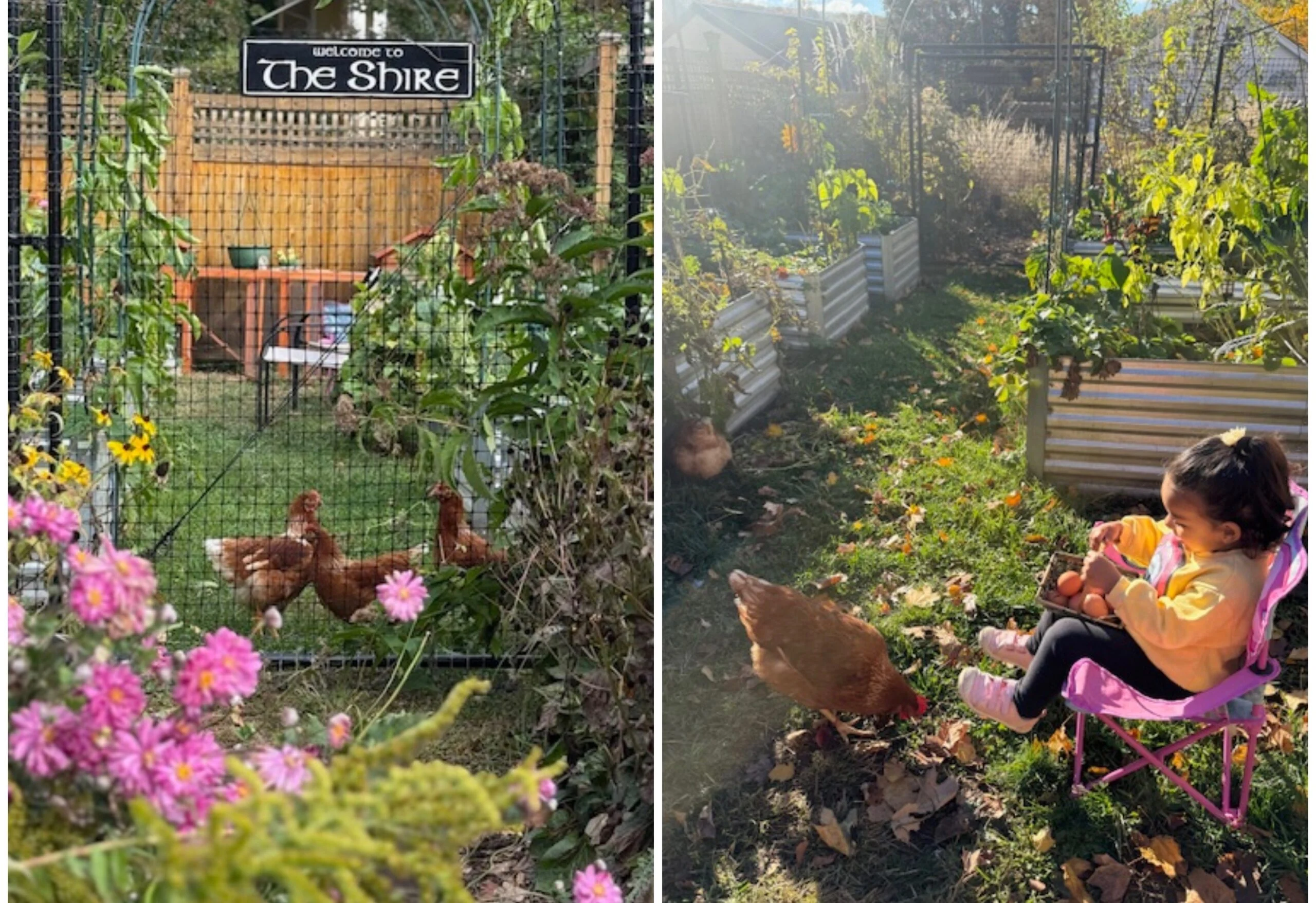 Jardins des lecteurs de Cup of Jo