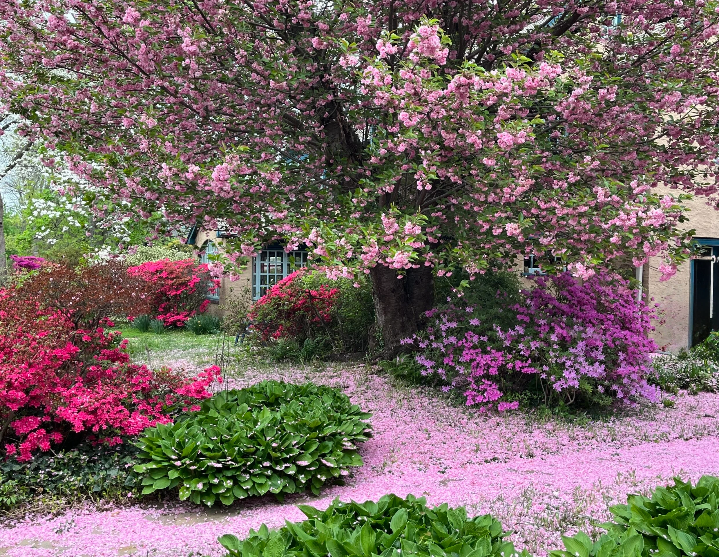 Jardins des lecteurs de Cup of Jo