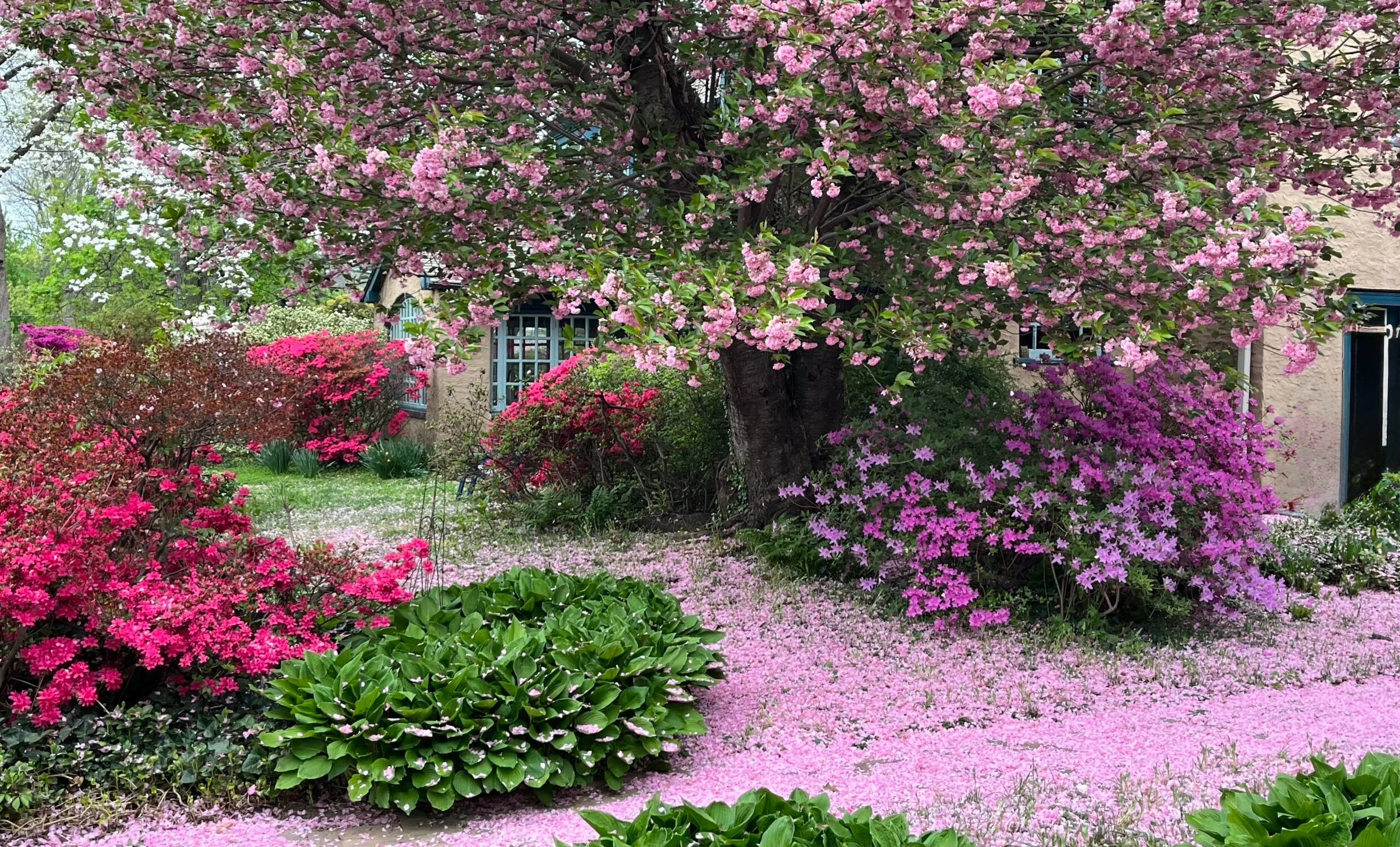 11 lecteurs partagent leurs magnifiques jardins