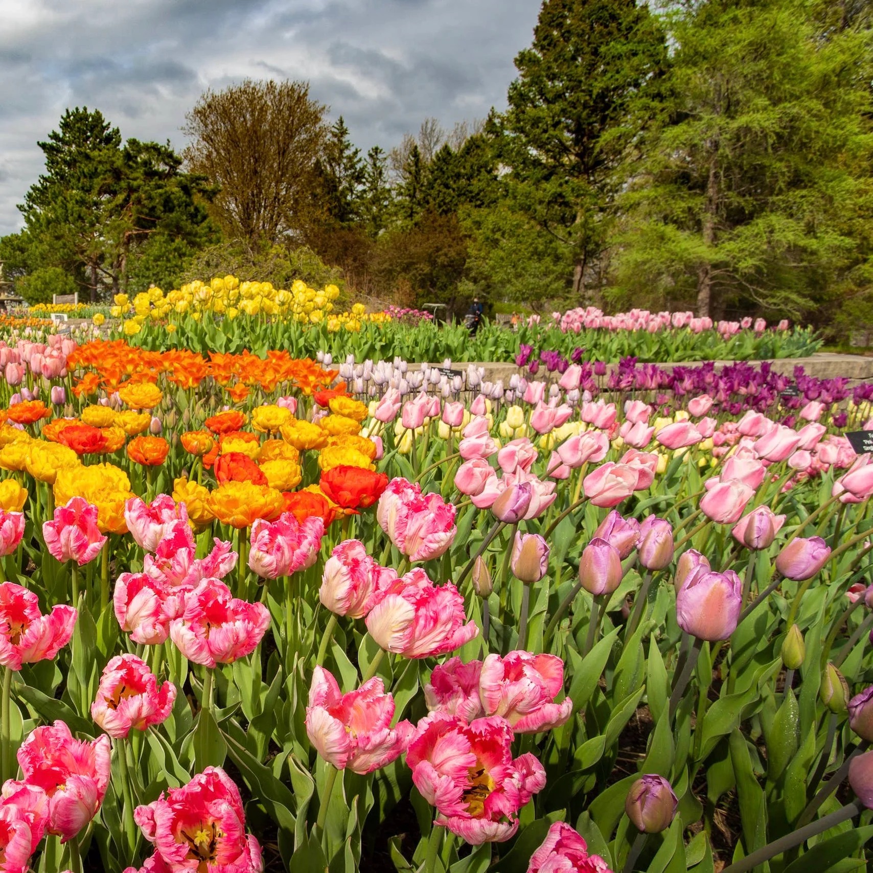 Arboretum paysager du Minnesota