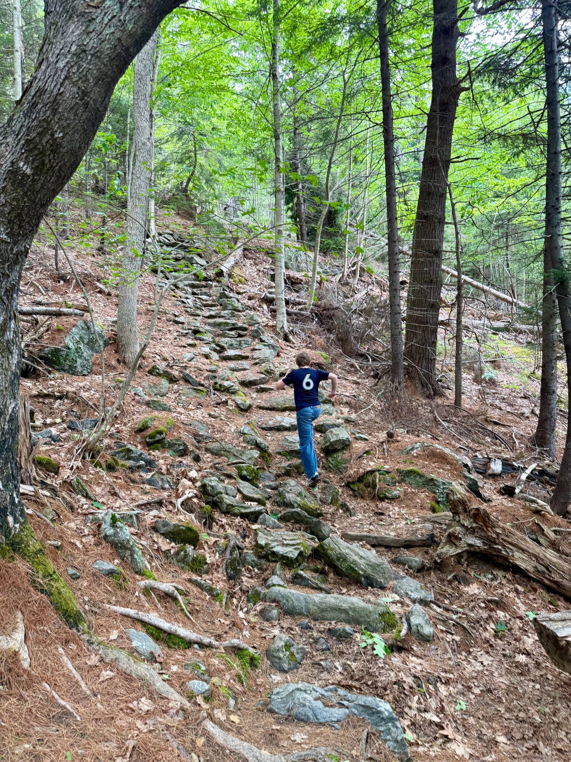 Un week-end dans le Maine