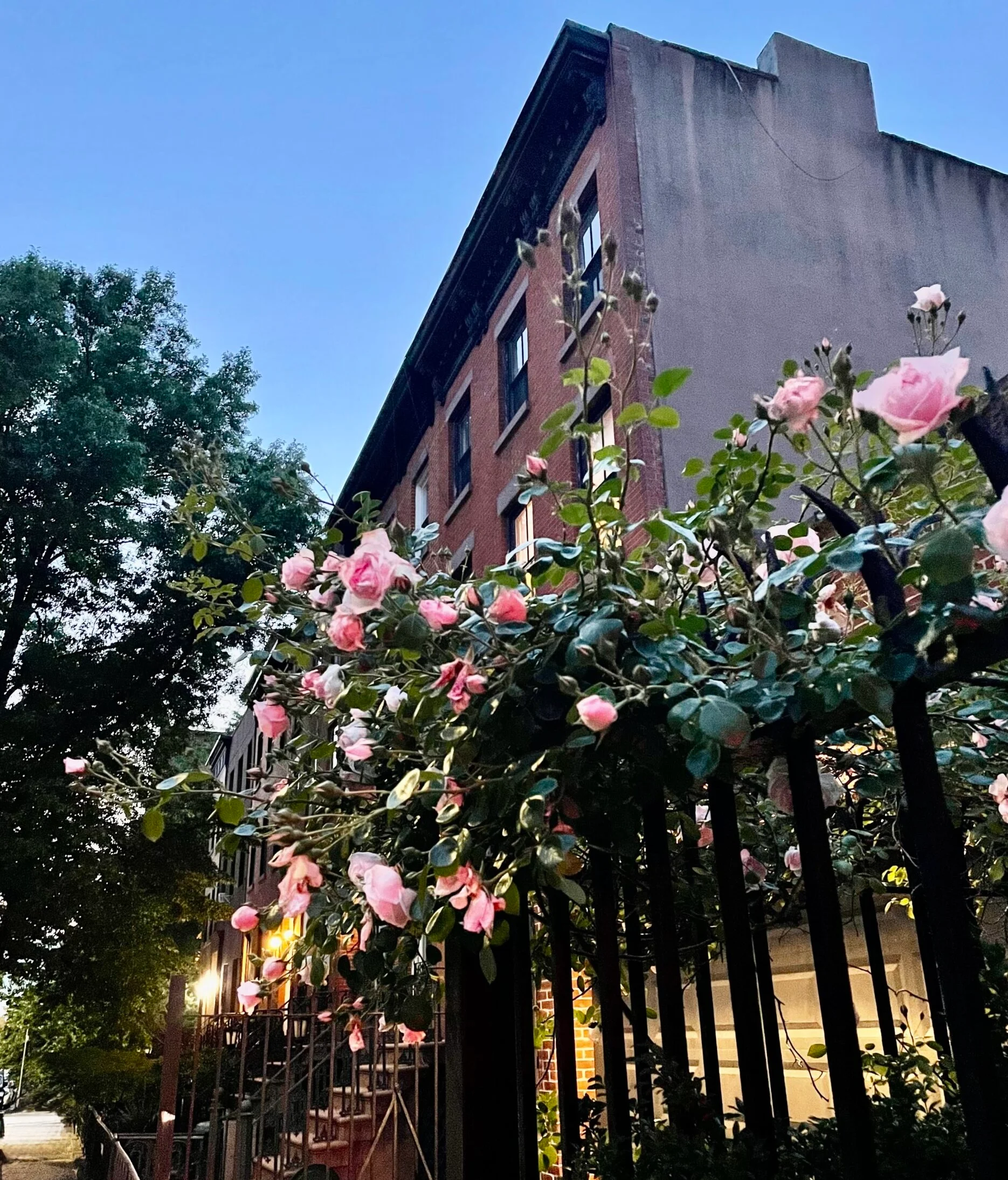 Brooklyn