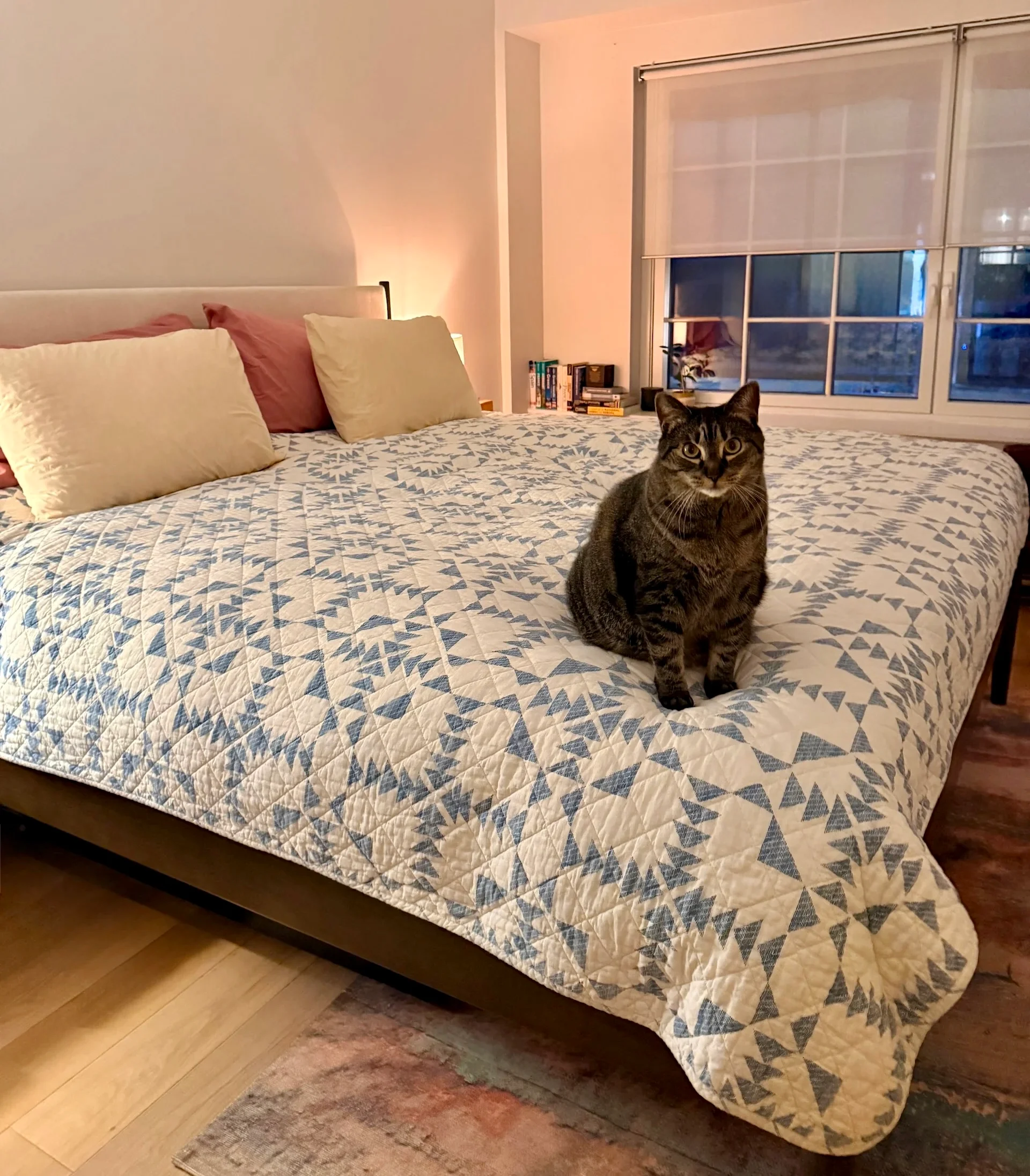 matelas leesa