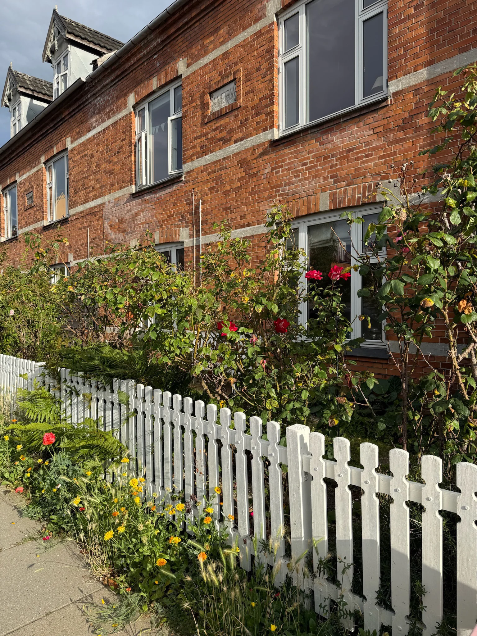 Jardin sauvage de Copenhague