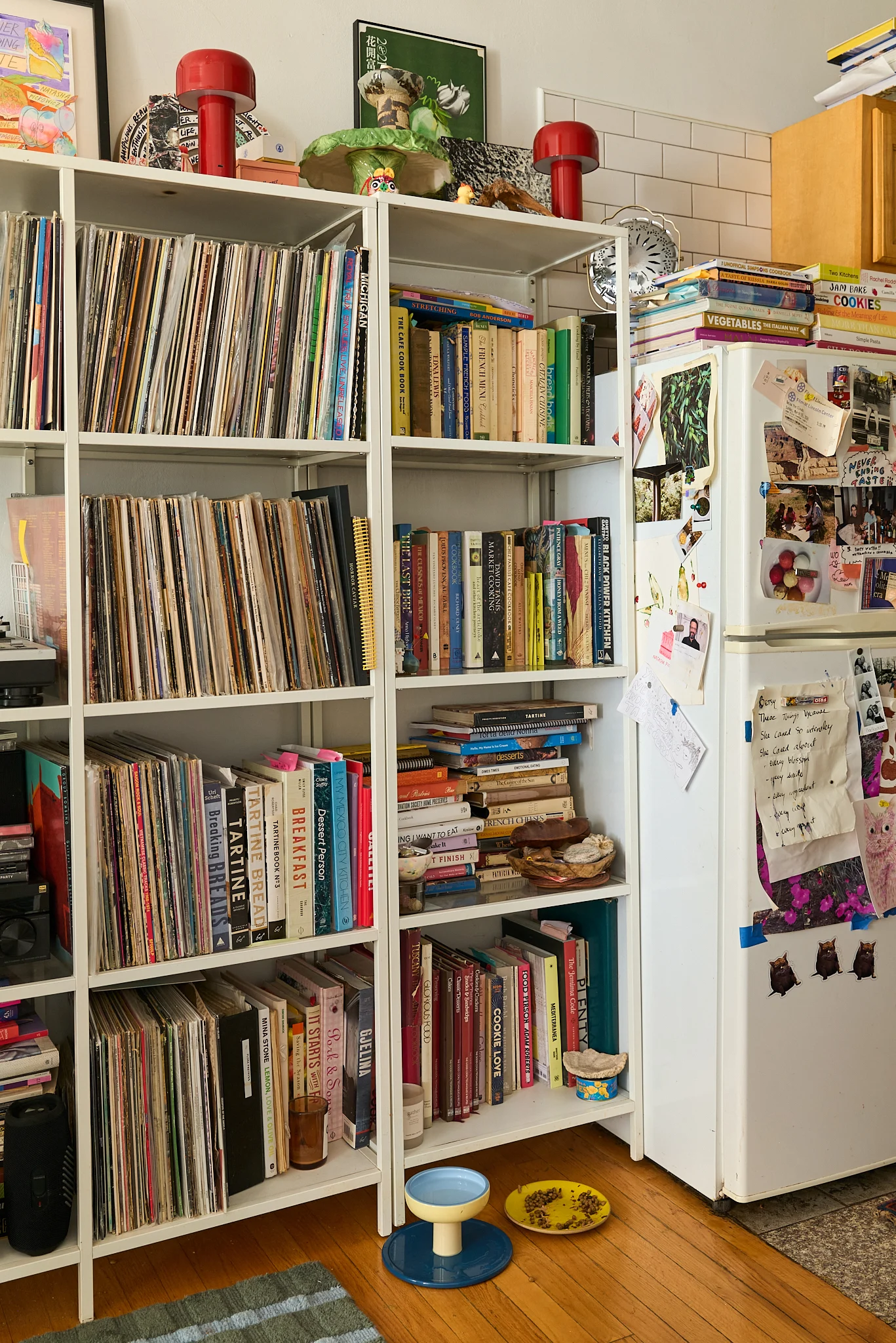 Visite à domicile de Natasha Pickowicz à Brooklyn