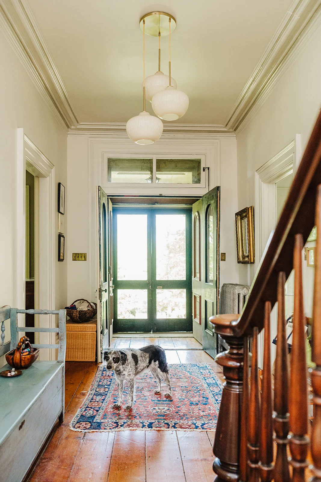 Visite de la maison d'Olivia Muenter
