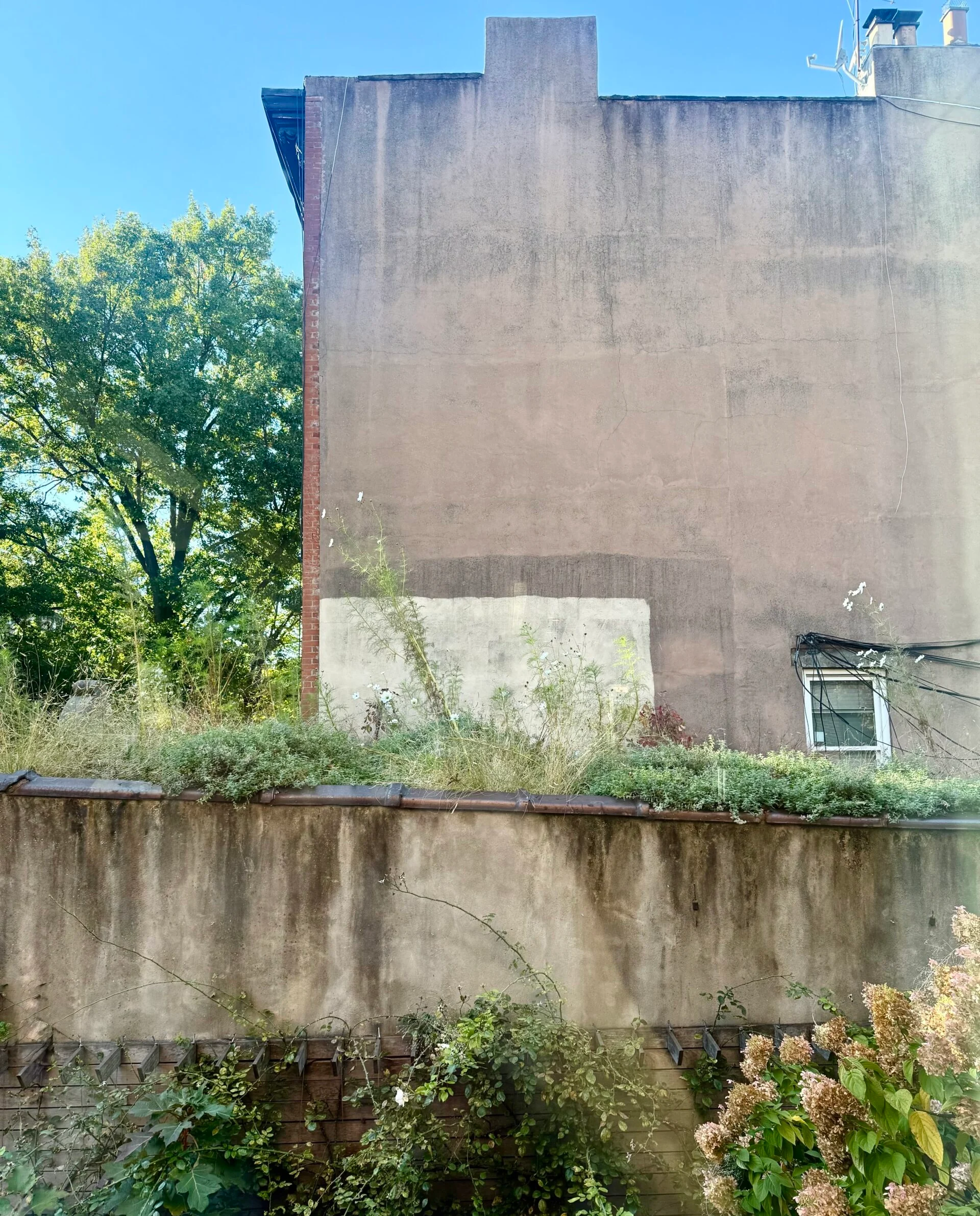 garage jardin sur le toit Brooklyn