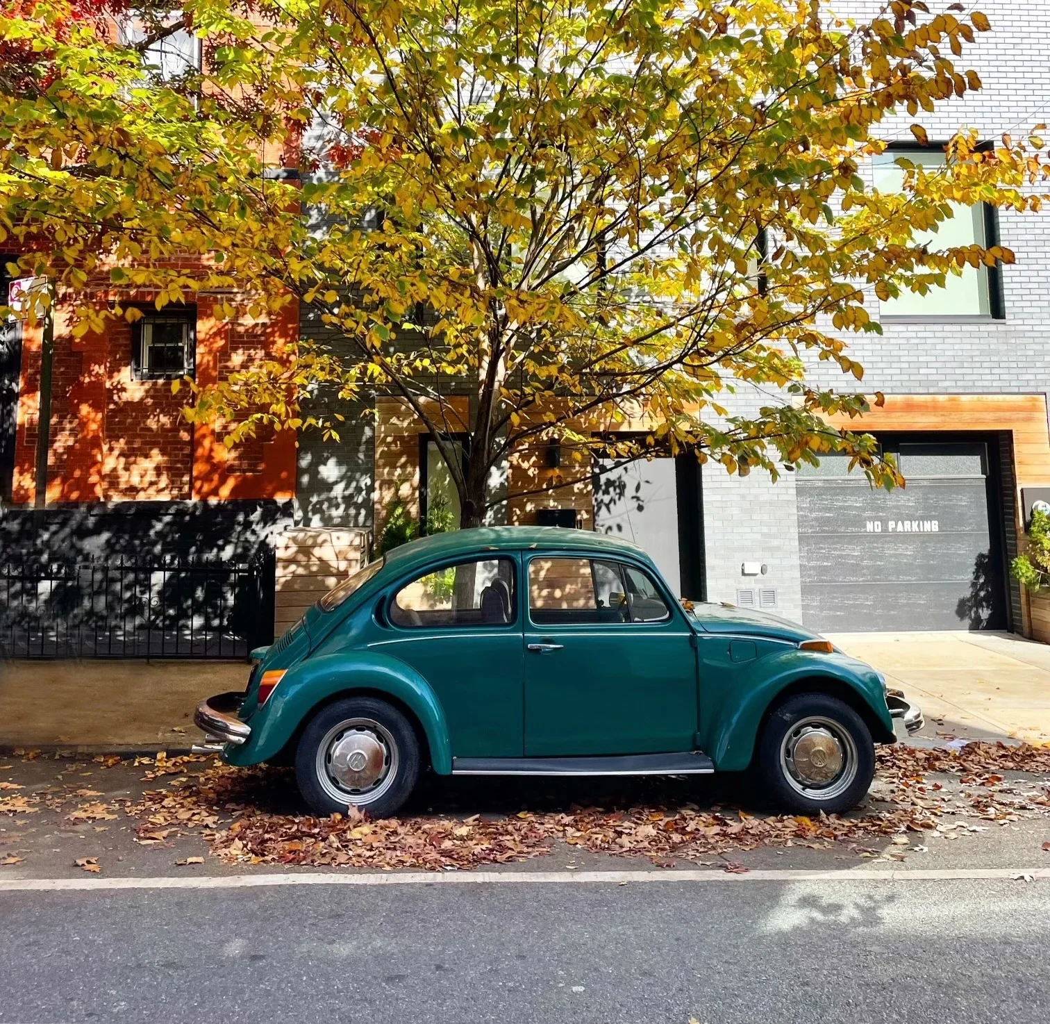 Bug des brownstones de la rue de Brooklyn